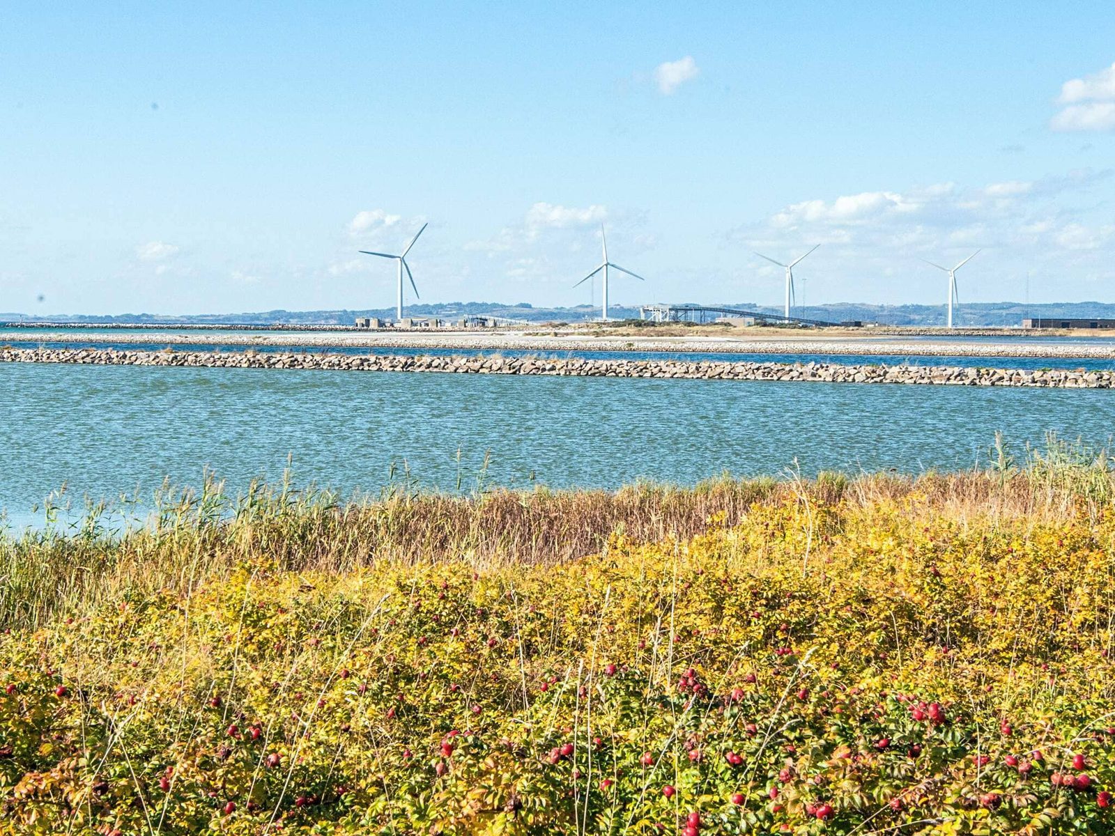The bay, with its stone breakwater and the turbines beyond