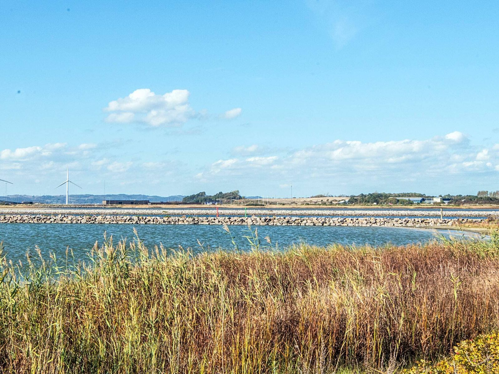 Das Ufer unterhalb des Hauses, Schilf und flaches Wasser