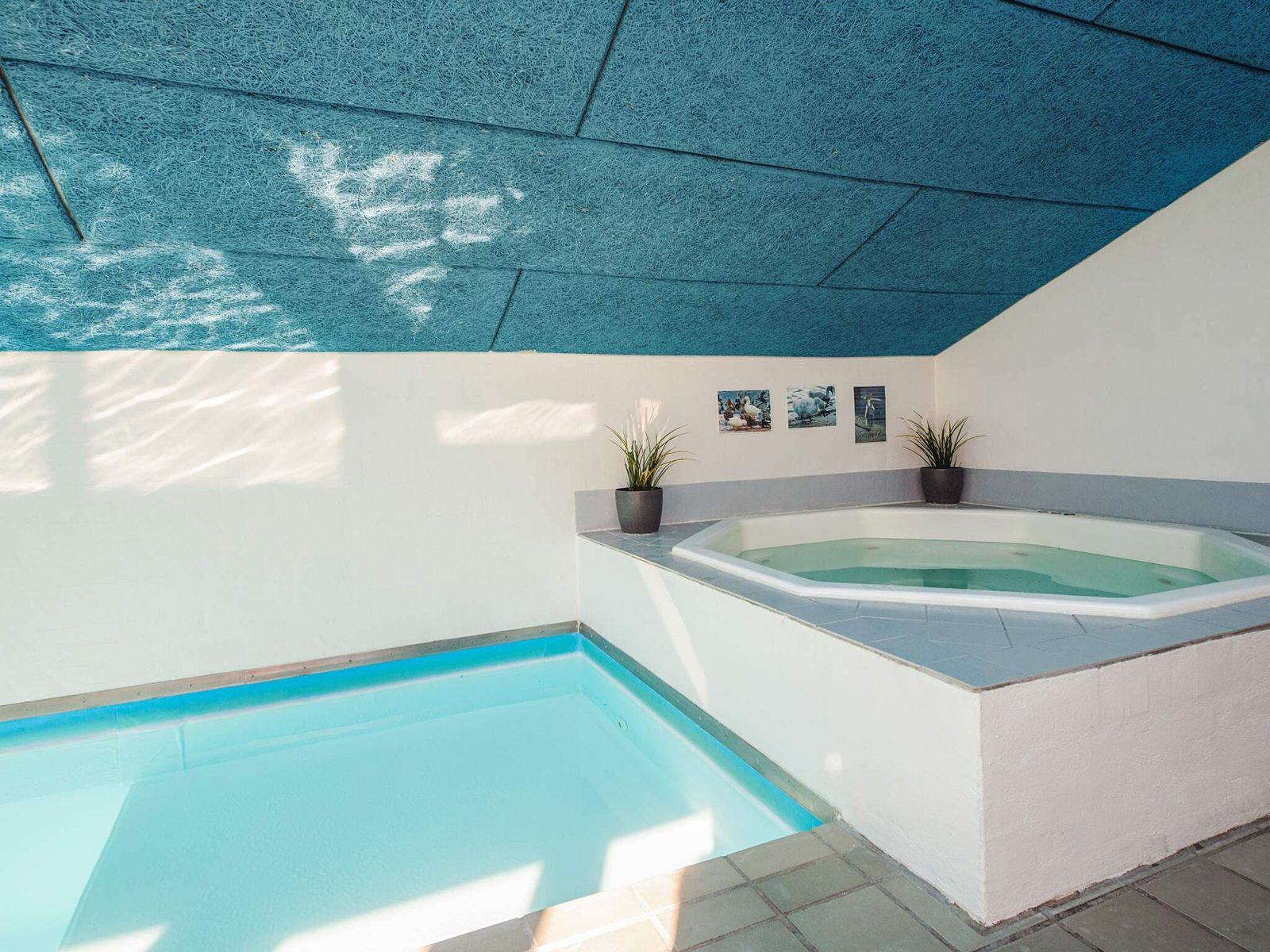 The pool and whirlpool seen from the shallow end